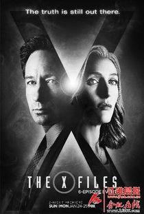 x档案电影免费观看,揭秘神秘档案，免费观影之旅