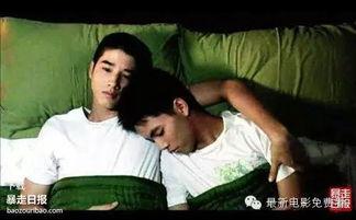 免费观看男同志影片,免费观影之旅