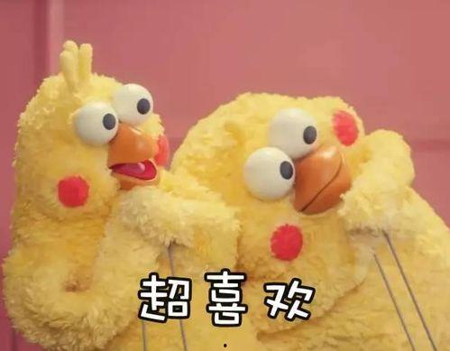 鹦鹉兄弟表情老公,老公瞬间融化