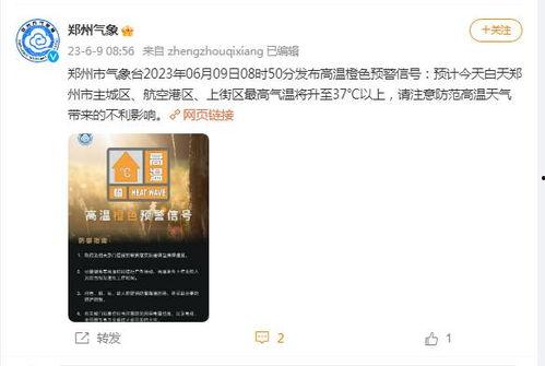 周一郑州爆料新闻直播,周一突发事件现场直击